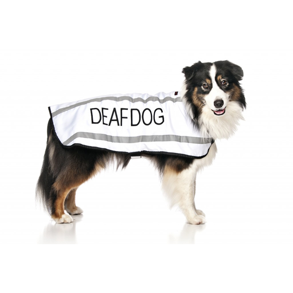 Deaf Dog Coat