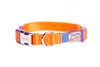 Collar and Lead Set