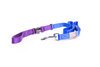 Collar and Lead Set