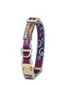 Collar and Lead Set