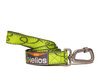 Collar and Lead Set