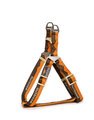 Harness and Lead Set