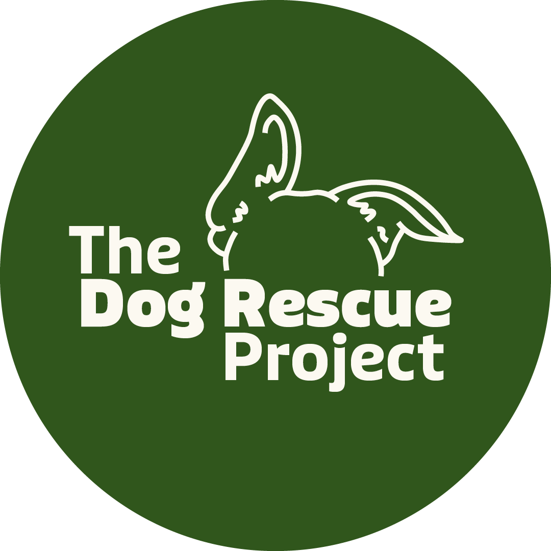 The Dog Rescue project (Chained Dog Rehabilitation & Rehoming NZ)