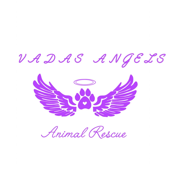 Vada's Angels Animal Rescue Tauranga